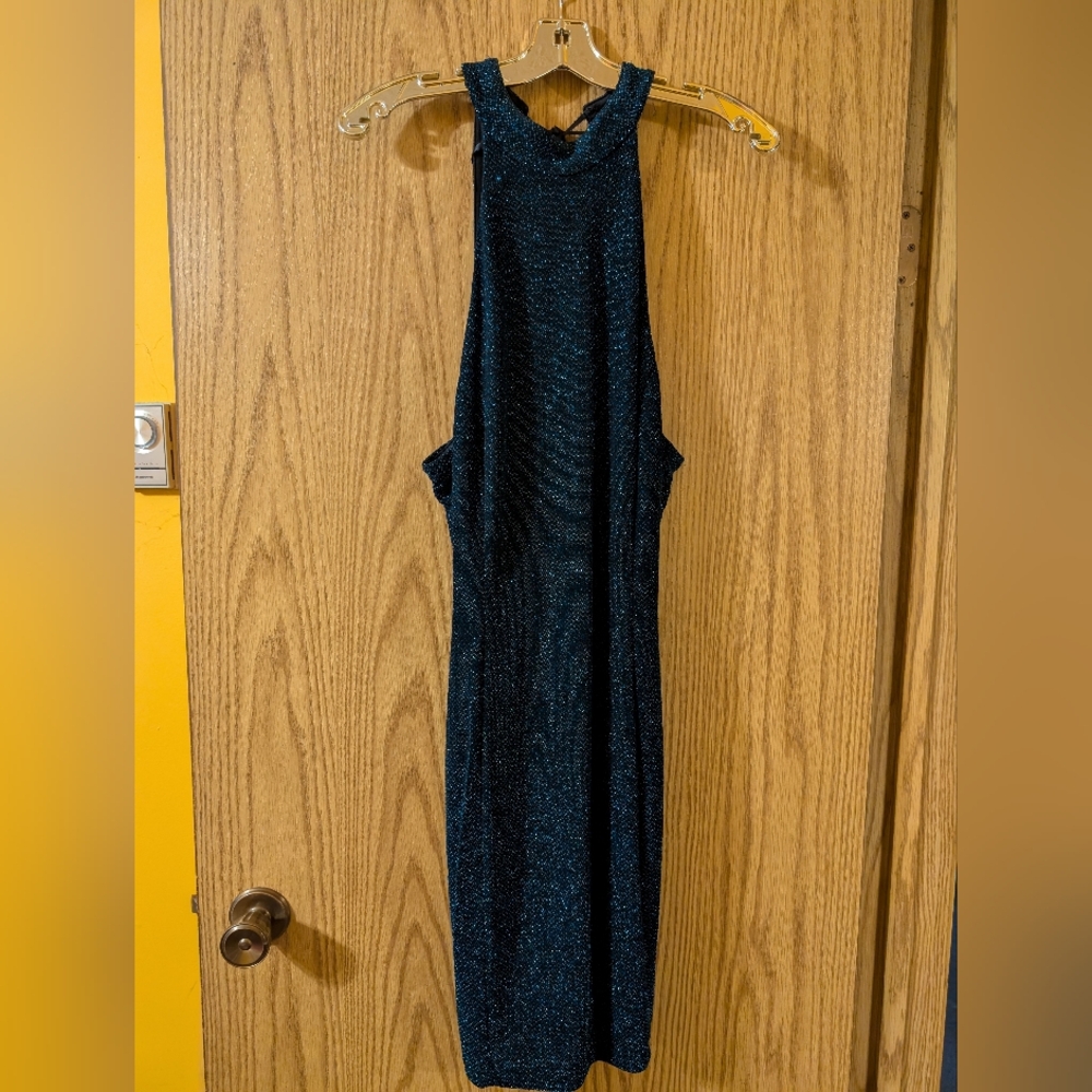 Elegant Shimmery High neck Sleeveless Dress